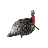 Avian-X LCD Quarter-Strut Jake front view, realistic stand-in to attract gobblers