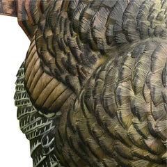 Avian-X LCD Strutter emphasizes its 15-percent smaller size for easier transport.