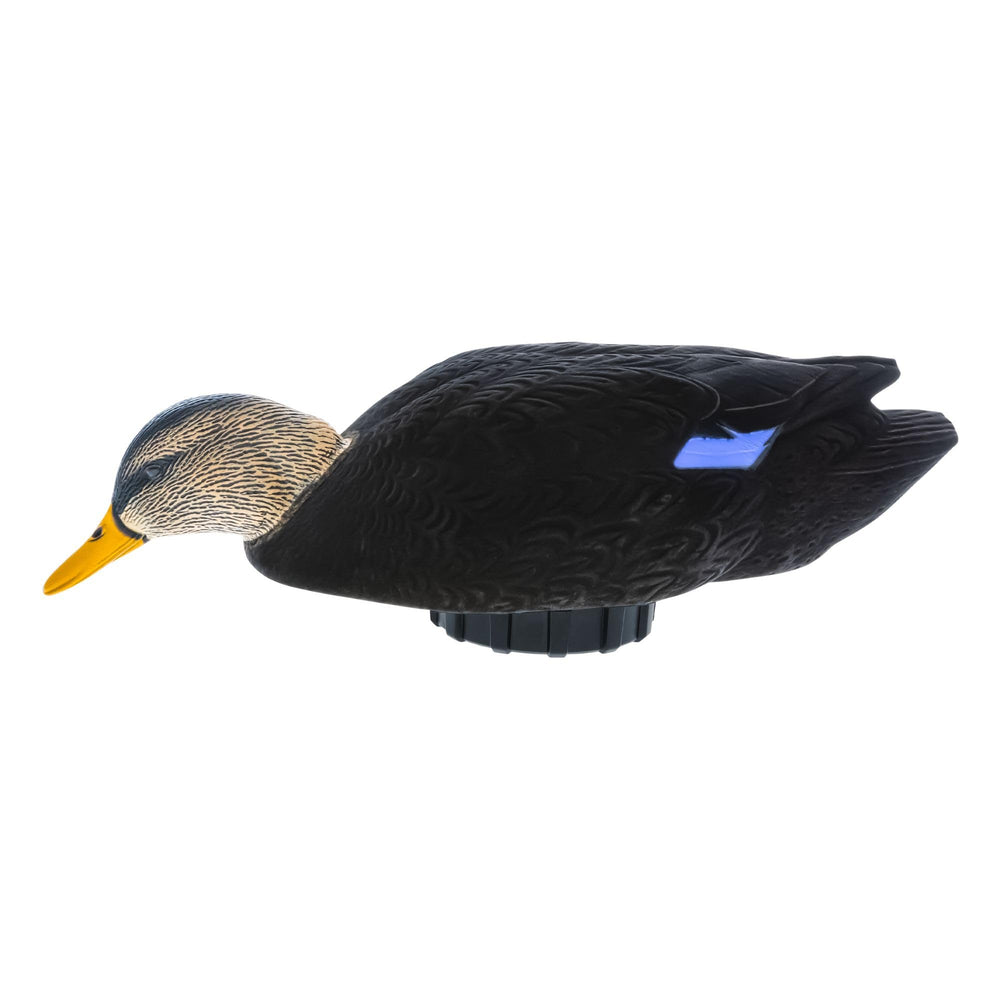 Avian-X Power Shaker Mallard Drake Preener on water with lifelike preening motion