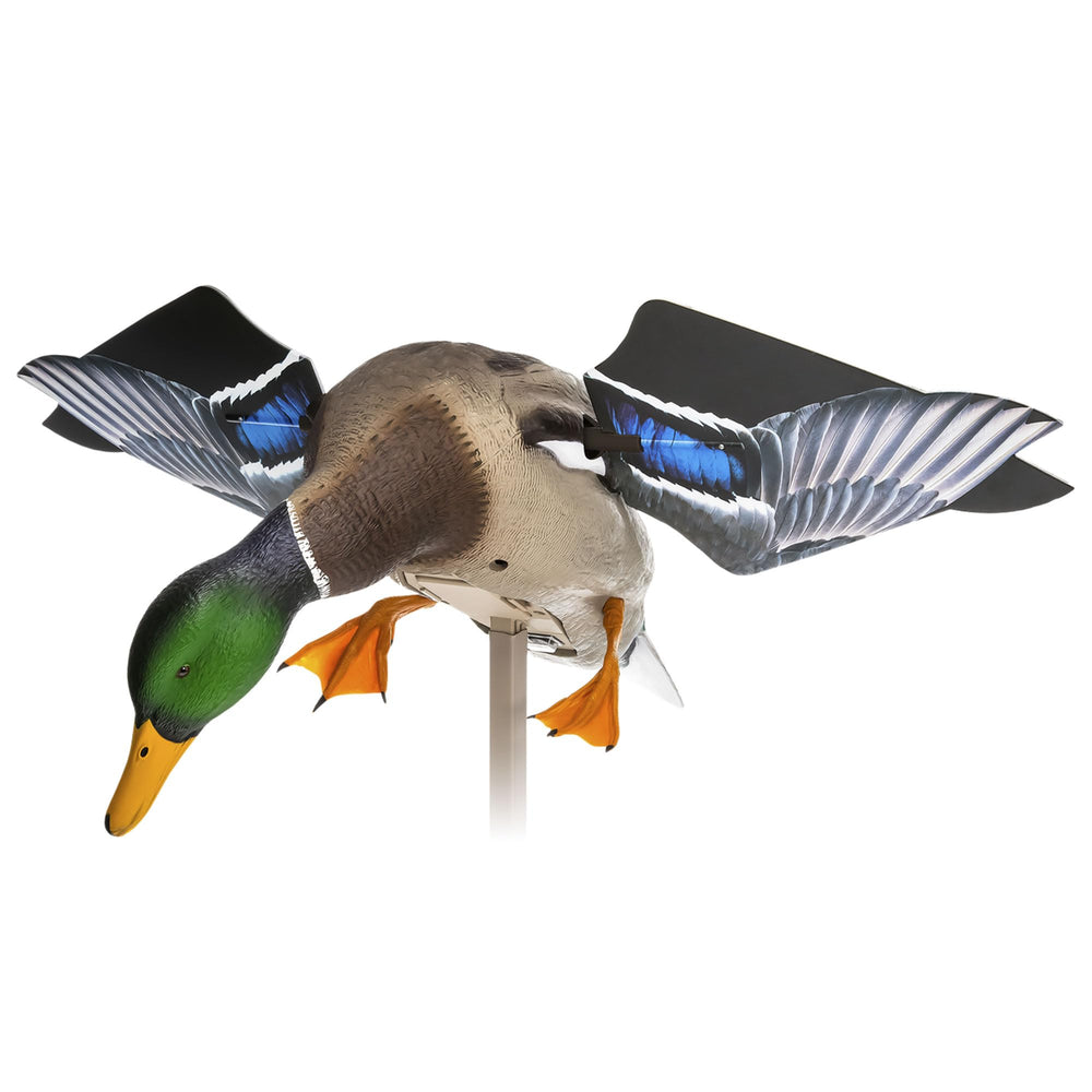 Avian-X PowerFlight Mallard wings-rotating in motion for lifelike duck decoy realism.