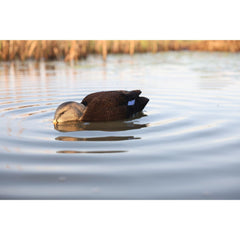 Avian-X preener motion details mimic natural mallards at rest