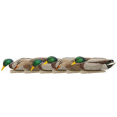 Avian-X Topflight Backwater Mallards decoys, front view, six-pack, realistic lure for waterfowl.