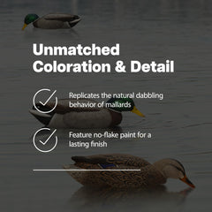 Avian-X close-up shows detailed head coloring and feather texture, six-pack, durable finish.