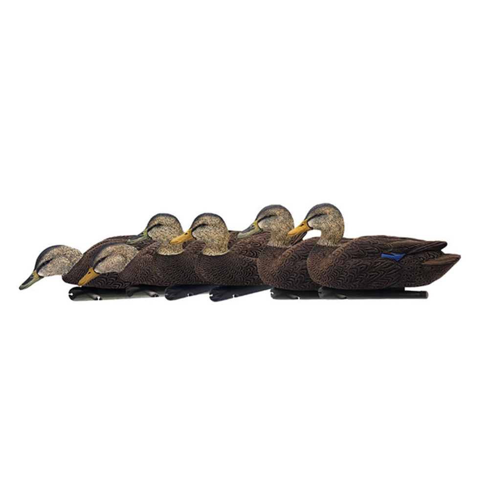 Avian-X Topflight Black Duck Decoy Feeder Hen showcasing realistic coloration for authentic flocking.