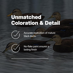 Avian-X Topflight Black Duck Decoy Swimmer Hen capturing lifelike movement in water.