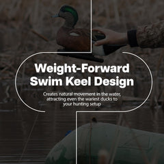 Avian-X Topflight Wigeon decoys with weight-forward keel drifting naturally in ponds for movement