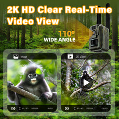 AXB trail camera with 850nm no-glow LEDs preserves natural wildlife behavior for night shots.