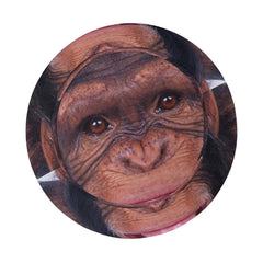 BAIKUTOUAN Big Monkey Orangutan Face Bucket Hat packable travel design for easy transport.