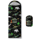 BailiPromise cartoon dinosaur sleeping bag front view for camping warmth