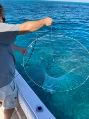 Porous storage bag included with Ballyhoo Bait Net
