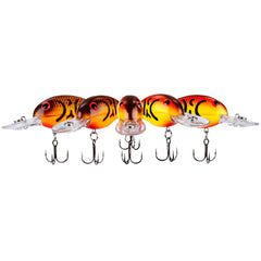 Bandit Lures Bandit 200 crankbait diving to 8 ft for bass.