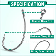 Trout circle hook for freshwater and saltwater