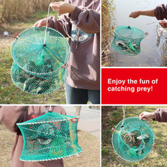 Portable folded crab trap frame and net