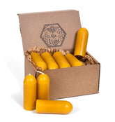 BeeTheLight beeswax lantern candle pack24 — smokeless and long-lasting for lanterns