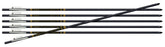 Benjamin BAMA-6PK airbow arrows pack highlights M-Series compatibility for accurate field hunting.