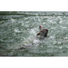 Berkley Cane Walker cupped face throws water in all directions for added noise.