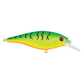 Berkley Flicker Shad Firetiger front view with shallow-water casting use