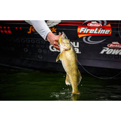 Berkley Flicker Shad Firetiger top-down view highlights realistic shad profile