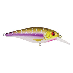 Berkley Flicker Shad Shallow Purple Tiger lure in action for shallow-water bass and walleye.