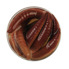 GAJGFPC2-NC Berkley Gulp Alive Floating Pinched Crawler Nightcrawler 2in close-up