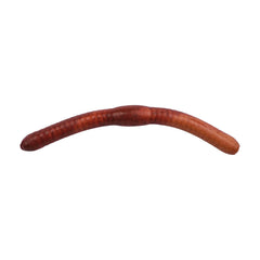 Berkley Gulp Alive Fat Floating Trout Worm Nightcrawler 2in lures trout with scent