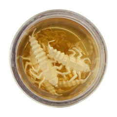 Gulp! Alive! Stonefly colorways attract panfish in varied environments.