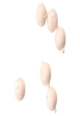 Berkley Gulp! floating salmon eggs white jar for enhanced scent dispersion attracting trout and salmon