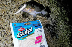 Berkley Gulp! SW Sandworm 2-inch natural Ajing packaging showing 16-bait pack for versatile rigs