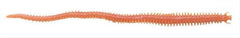 Berkley Gulp! Sandworm Natural 6-Inch closeup showing lifelike texture to attract fish