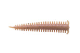 Berkley Gulp SW Sandworm 2-inch New Penny front view for lure action