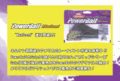 Berkley PowerBait MaxScent D-Worm texture detail resembling natural prey.
