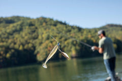 Berkley PowerBait Power Swimmer salt-infused lure boosts scent and bite potential.