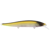 Berkley Stunna 112mm MF Tennessee Shad lure with lifelike action.