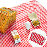 Beyond Thursday Cute Gingham Picnic Blanket spread on grass for a family picnic.