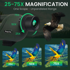 Bibire spotting scope straight eyepiece enables intuitive birdwatching setup.