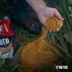 Big Tine Triggered pear attractant applied at feeding site attracting deer