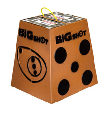 BIGSHOT Pro Hunter 16 target face arrow removal enables quick practice sessions