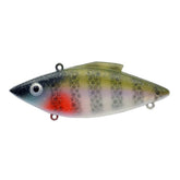 Bill Lewis Rat-L-Trap close-up reveals lifelike vibrations attracting predatory fish.