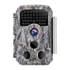 BLAZEVIDEO front-view trail camera for discreet wildlife monitoring and outdoor surveillance.
