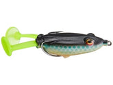 Blitz Lures Buzz Phrog GEN 2 front view highlights hollow body and realistic topwater action.