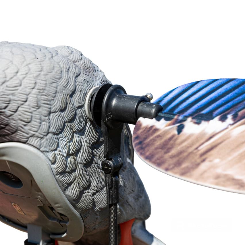 Blue Bird Waterfowl Animator Conversion Kit for Mojo Baby in action improves setup speed.