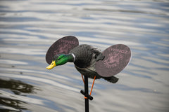Blue Bird Waterfowl low-light 11-5in wing with dual-color surface improves contrast for animator-ready motion