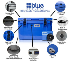 Blue Coolers Companion rapid drain system simplifies cleanup after trips
