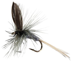 Blue Dun Trout Flies Assortment - 1 Dozen