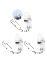 BLUEWING 3pc Deep Drop Light with stainless steel clip - front view