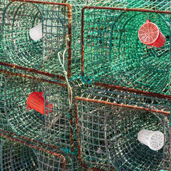 Compact bait cage dimensions 3.27 x 2.36 x 1.77 inches