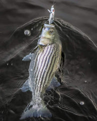 BOMBER Jointed Wake Minnow 3D body HD decoration attracts bites.
