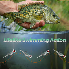Assorted Bombite crappie baits arranged for panfish fishing