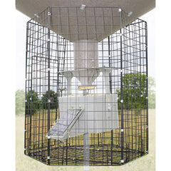 Boss Buck varmint cage front view shows large door opening protecting the feeder's delivery system.