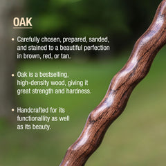 Brazos 55-inch Hitchhiker Walking Stick ready for hiking.